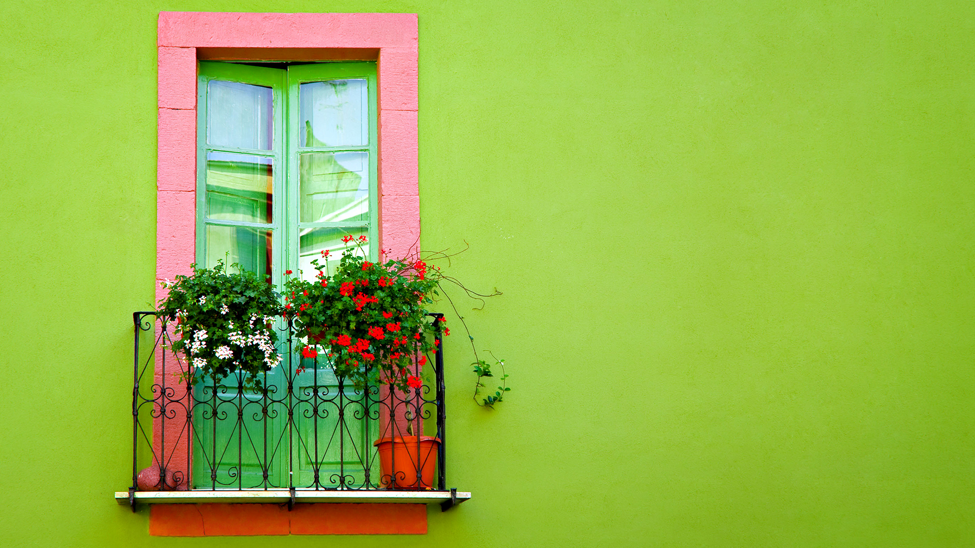 Green Wall Window3804612204